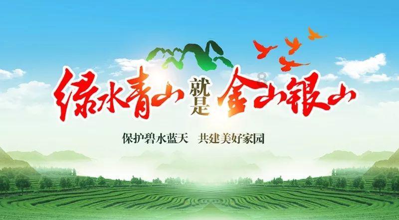 救援菠萝舞者